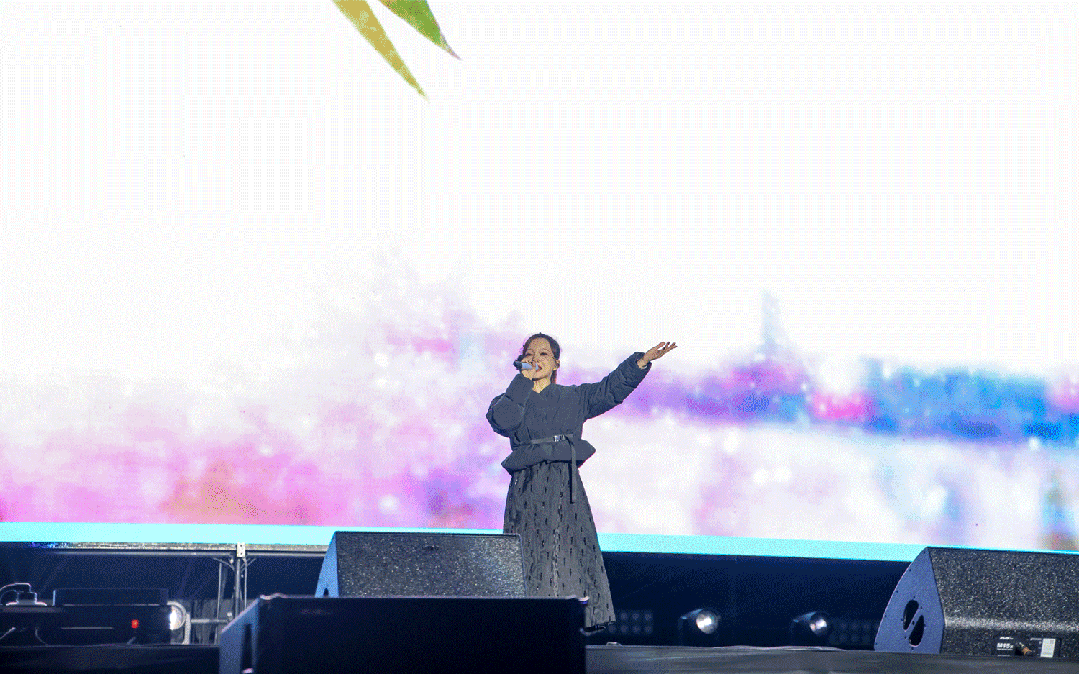 平陽體育中心群星演唱會(huì)！超萬人圍觀，現(xiàn)場(chǎng)火爆High唱！