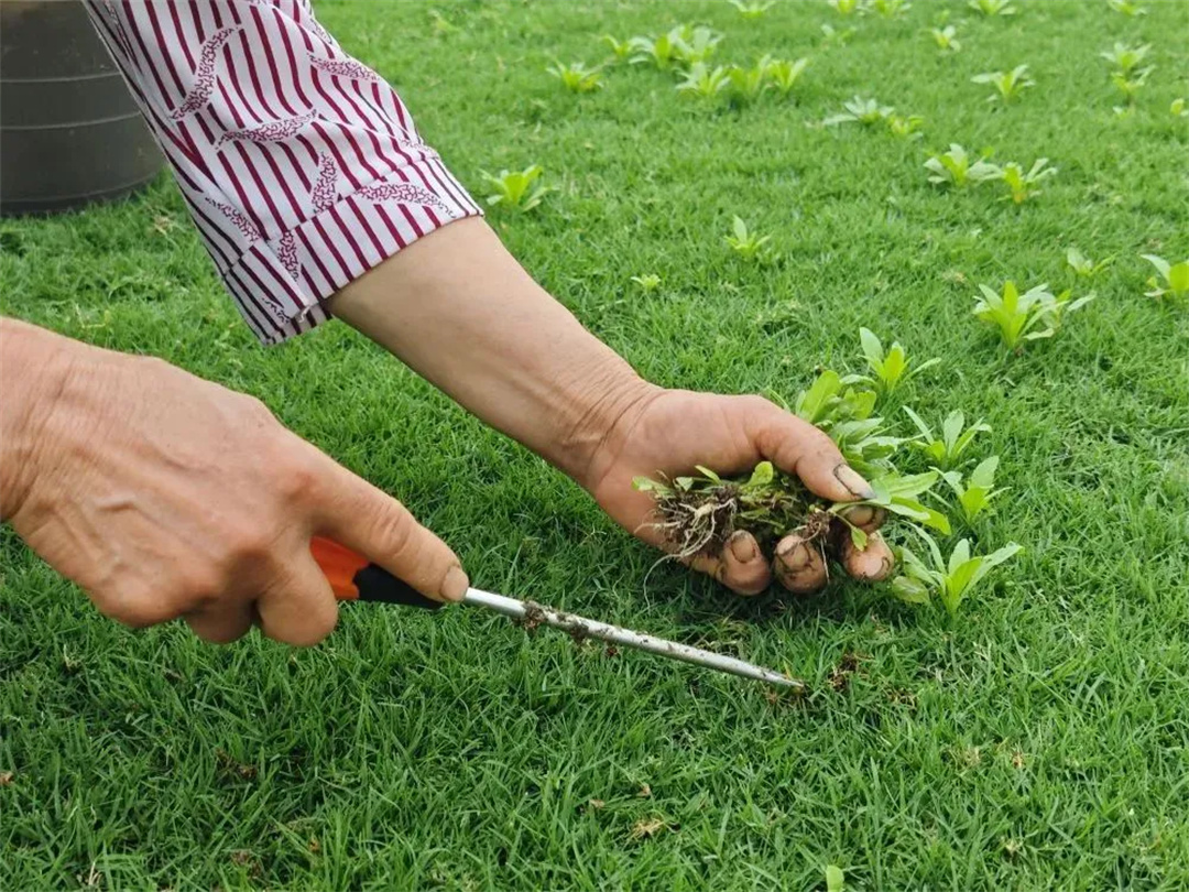 萬(wàn)豪集團(tuán)匠心助力，6月齊聚重慶龍興足球場(chǎng)為國(guó)足吶喊助威！