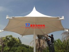 膜結(jié)構(gòu)形態(tài)有哪幾種？分別有哪些特點特征？